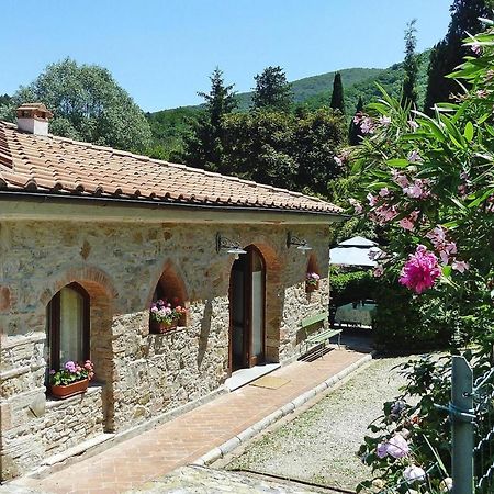 Holiday Home Casa Carla, Ripafratta Экстерьер фото